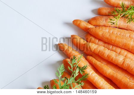 fresh carrots lay in a row on white background