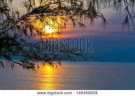 Pine and dawn at Ban Krut Beach Prachuap Khirikhun Province Thailand