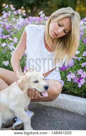 Beautiful young girl playing with a puppy labrador in the park in autumn. Beautiful blonde walks in the park with a white labrador.