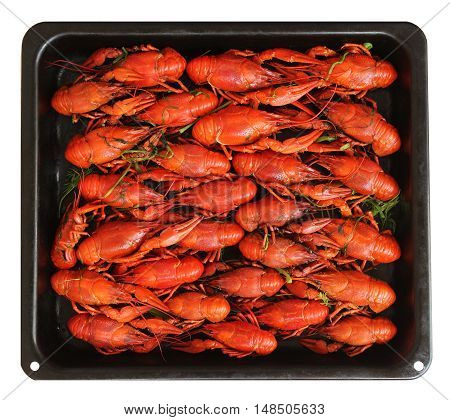 Cooked red crayfish at the black pan