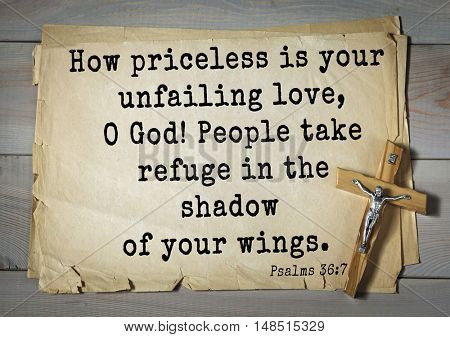 TOP-1000.  Bible verses from Psalms.
How priceless is your unfailing love, O God! People take refuge in the shadow of your wings. 