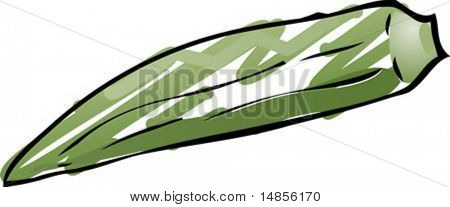 Skizze Okra handgezeichneten Lineart Blick Illustration