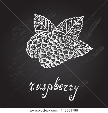 Hand Drawn Fruits