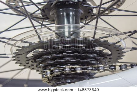 Closeup Bike Gears of a mountain bicycle