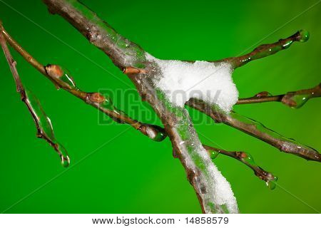 Letzter Schneefall