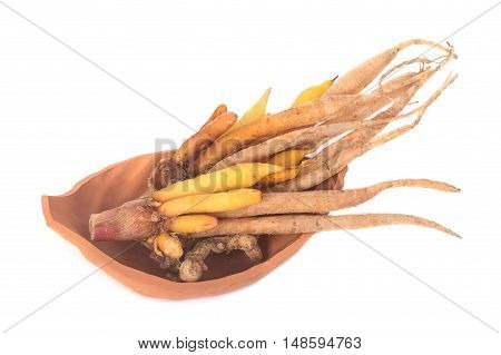 Finger root Thai herb on white background.