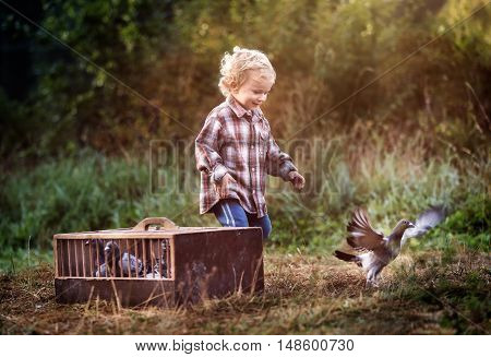 Little Pigeon Fancier. Boy Playing With Flying Pigeons.
