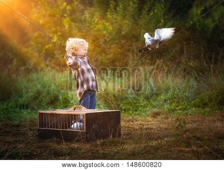 Little Pigeon Fancier. Boy Playing With Flying Pigeons.