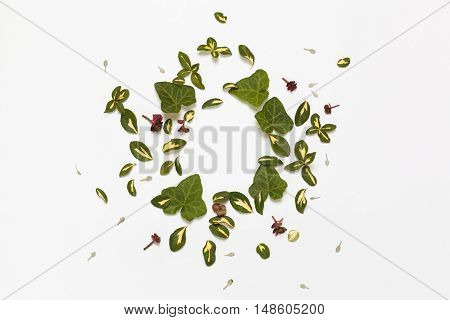 Floral nature round frame on white background. Flat lay top view. Ornament with yellow-green leaves of euonymus and ivy and succulent plants.