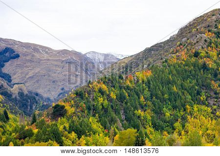 Arrowtown, New Zealand - South Island, Gold Mining Town