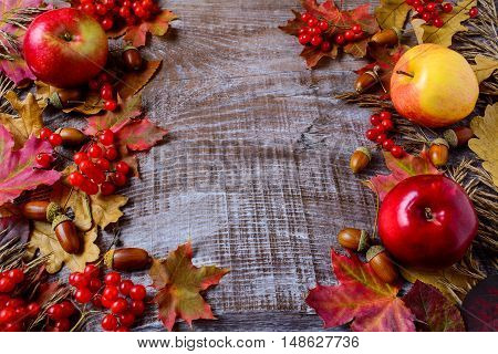 Abundant harvest concept with apples acorns berries and fall leaves. Thanksgiving background with seasonal berries and fruits.