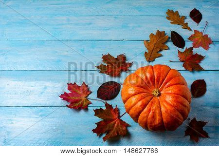 Thanksgiving concept with ripe pumpkin on blue wooden background. Thanksgiving background with seasonal berries and fruits.