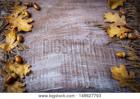 Frame of rye acorn and fall leaves on dark wooden background. Thanksgiving background with seasonal symbols.
