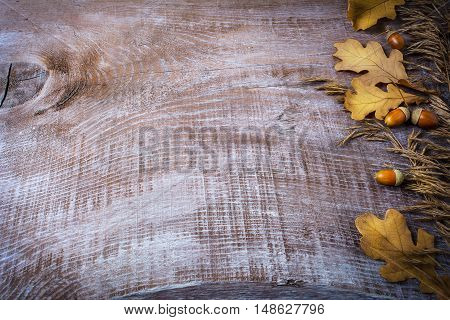 Thanksgiving background with oat acorn and fall leaves on the old wooden background. Thanksgiving background with seasonal symbols.