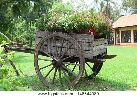 Landscaping Garden With Flowers On Wooden Boat