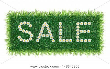Vector SALE word of daisies on grass background.
