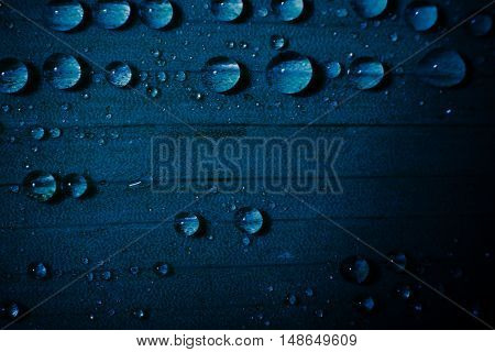 water drop on fresh blue leaf with blurred background