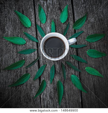 Coffee cup on green leaves background Flat lay. textured,