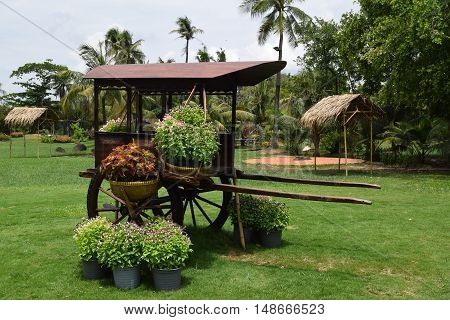 Landscaping Garden With Colorful Flowers