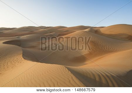 Sandtunes in Liwa desert in Aby Dhabi UAE at sunrise
