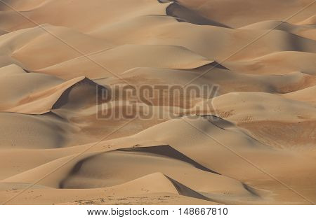 Sandtunes in Liwa desert in Aby Dhabi UAE at sunrise