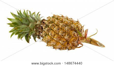 Closeup of yellow Ripe Pineapple on white backgroup