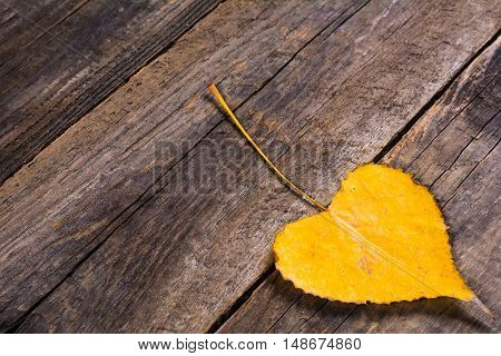Autumn yellow leaf in the form of heart. Autumn background. Toned image