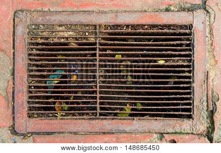 Metal Rustic dirty street water drain full with gabbage