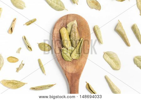 Brazilian Boldo Leaves into a spoon isolated in white background