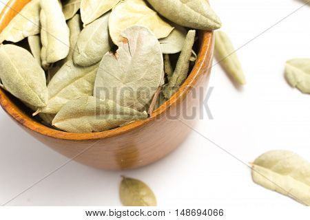 Brazilian Boldo Leaves into a bowl isolated in white background