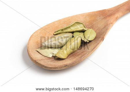 Brazilian Boldo Leaves into a spoon isolated in white background