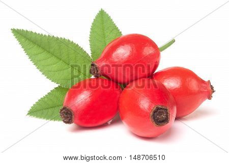 rose hip berry with leaf isolated on white background.