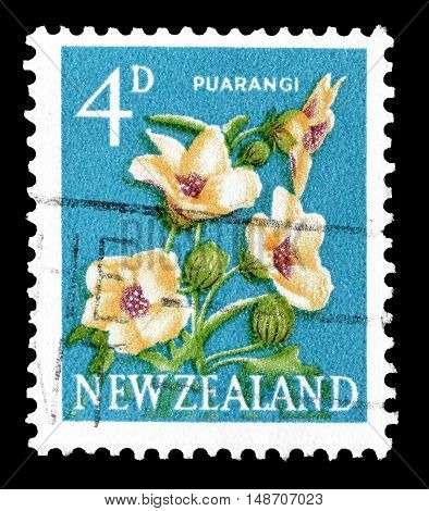 NEW ZEALAND - CIRCA 1960 : Cancelled postage stamp printed by New Zealand, that shows Puarangi flower.