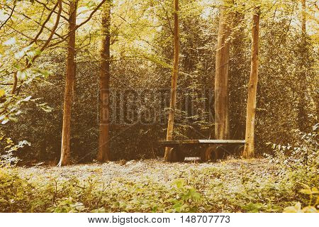 Old Abandond Trailer Left In The Woods