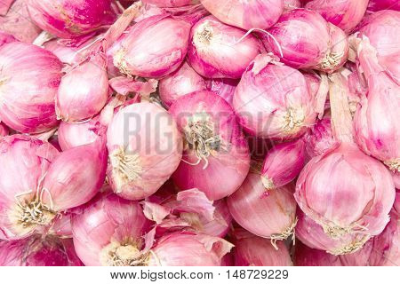 The shallots isolated on a white background.