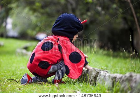 Little baby girl wearing a ladybug costume