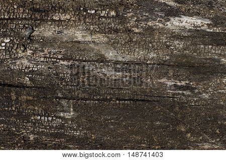 rough old wood texture with cracks
