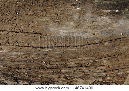 rough old wood texture with cracks