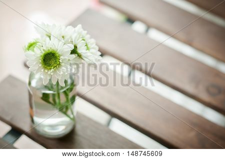 flower mum on the tablecloth, beautiful green color flower