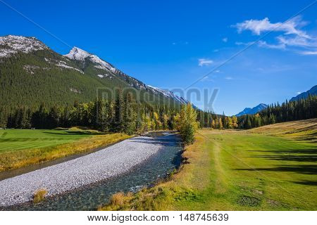  Beneaped autumn stream with a pebbly bottom flows among fields and pine forests. Magnificent  valley in Banff National Park