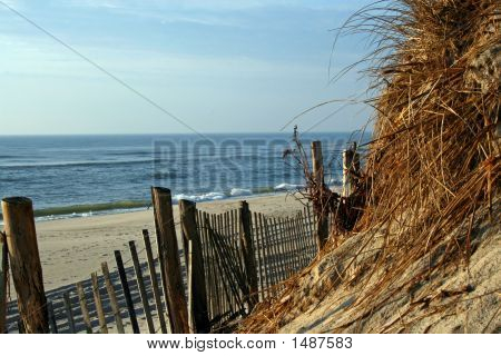Ocean View