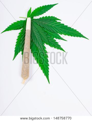Medical Marijuana.