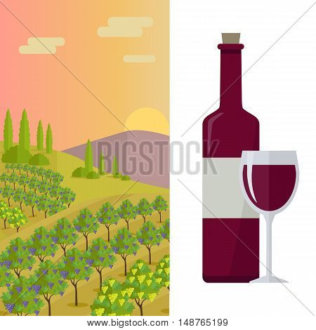 Grapes leaves in a sunny vineyard. Bottle with label and glass of red wine. Vineyard langscape. Rural landscape with vineyard and grapes bunches. Landscape with rolling hills and valleys.