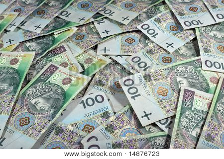 polnische Geld