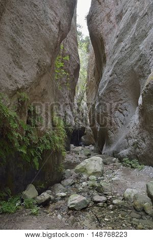 Avakas Gorge West side of Akamas Peninsula Cyprus