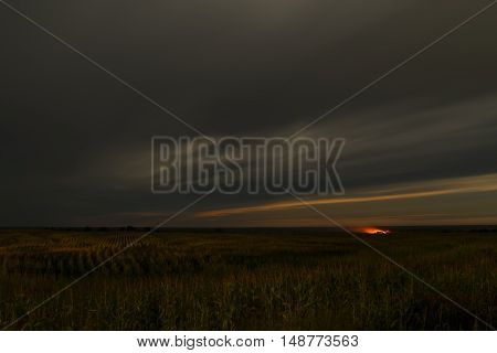 Bryansk oblast, Cornfield at night in Russia
