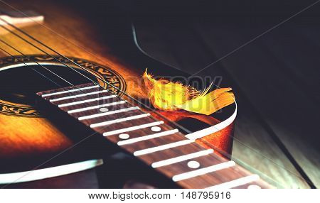 decorative plumelet lying on the strings of an old yellow guitar