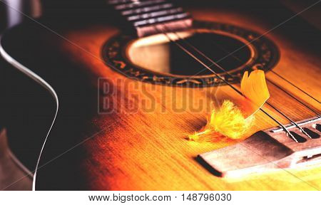 decorative plumelet lying on the strings of an old yellow guitar