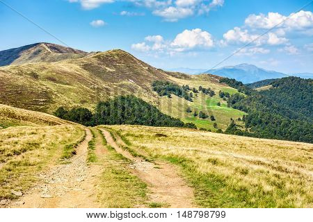 Road Through A Meadow On Hillside