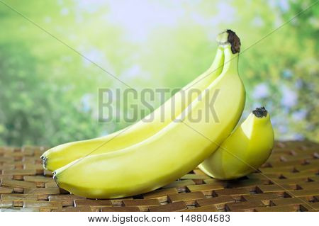 Fresh ripe bananas on a background of green nature. banana